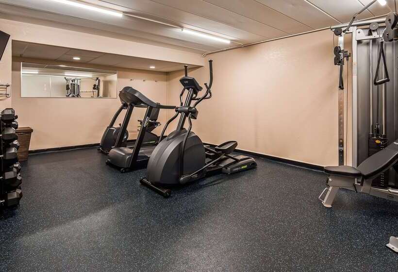 فندق Americinn By Wyndham Birch Run   Frankenmuth