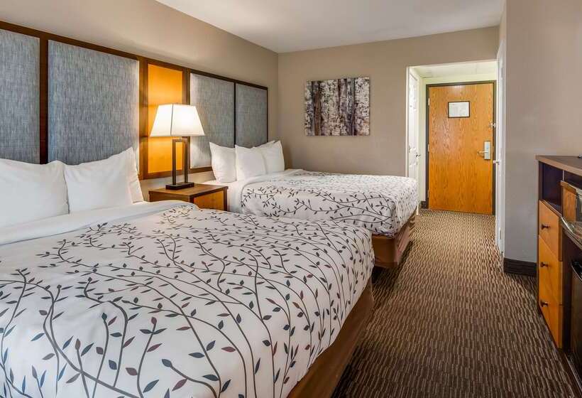 فندق Americinn By Wyndham Birch Run   Frankenmuth