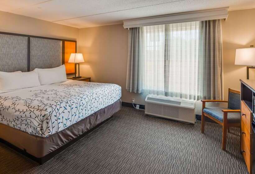 فندق Americinn By Wyndham Birch Run   Frankenmuth