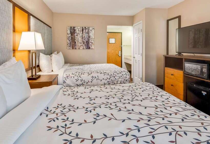 فندق Americinn By Wyndham Birch Run   Frankenmuth