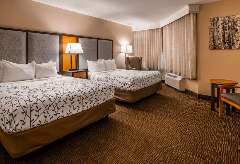 فندق Americinn By Wyndham Birch Run   Frankenmuth
