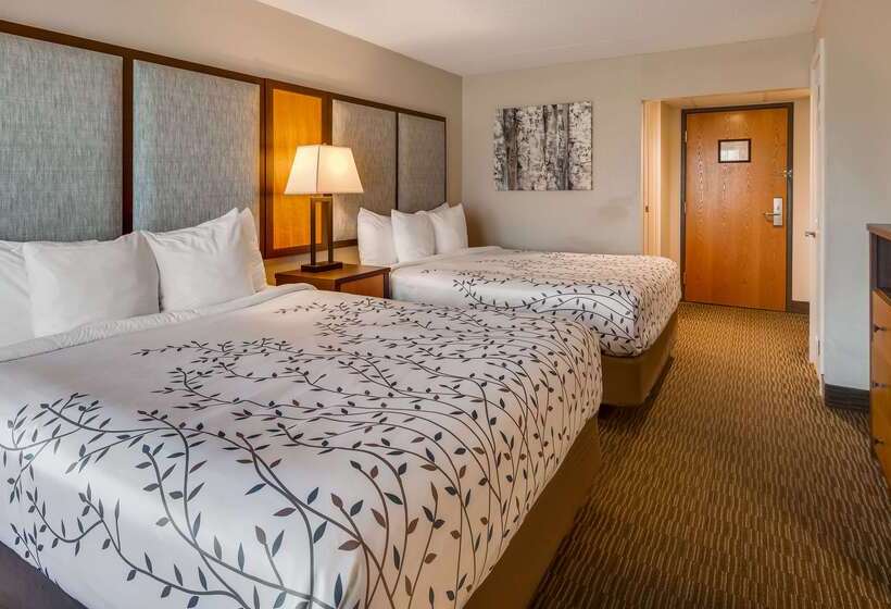 فندق Americinn By Wyndham Birch Run   Frankenmuth