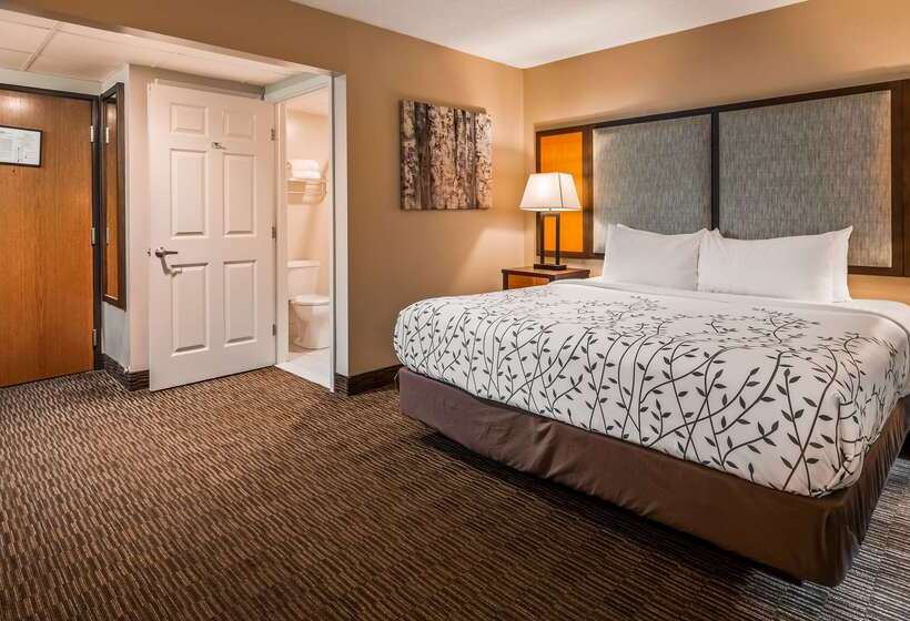 فندق Americinn By Wyndham Birch Run   Frankenmuth