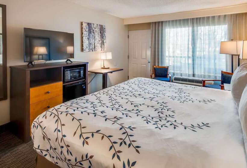 فندق Americinn By Wyndham Birch Run   Frankenmuth