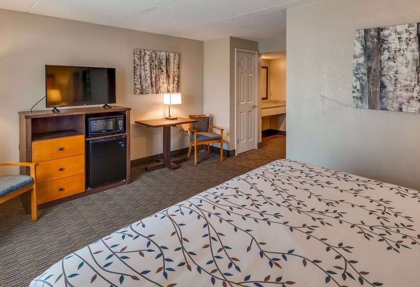 فندق Americinn By Wyndham Birch Run   Frankenmuth