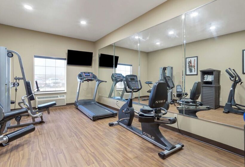 בית מלון כפרי Best Western Texas City