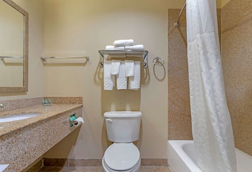 בית מלון כפרי Best Western Texas City