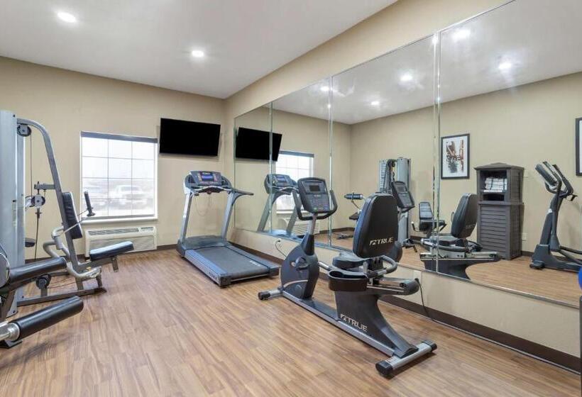 בית מלון כפרי Best Western Texas City