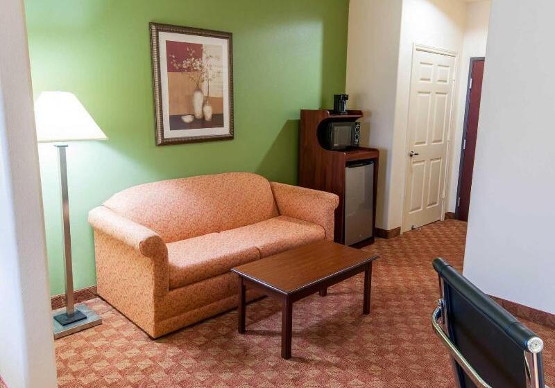 בית מלון כפרי Best Western Texas City