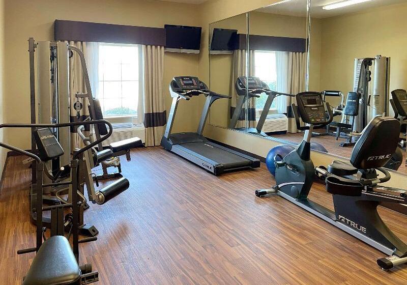 בית מלון כפרי Best Western Texas City