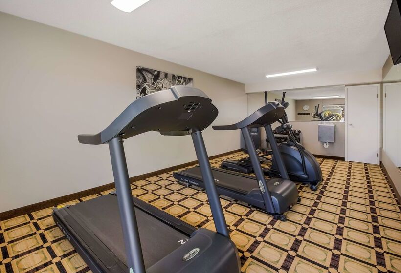 בית מלון כפרי Best Western University Inn