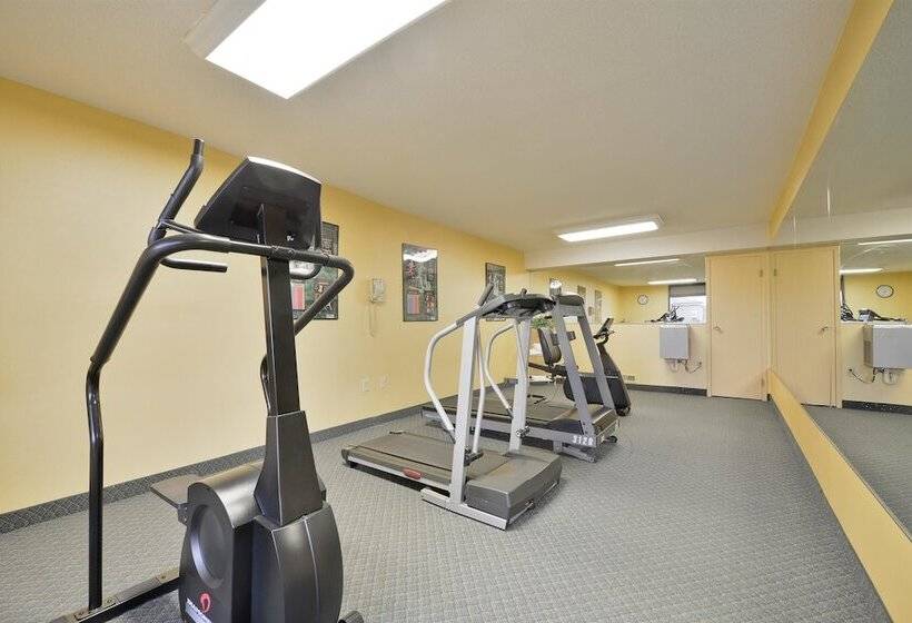 בית מלון כפרי Best Western University Inn