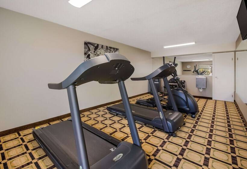 בית מלון כפרי Best Western University Inn