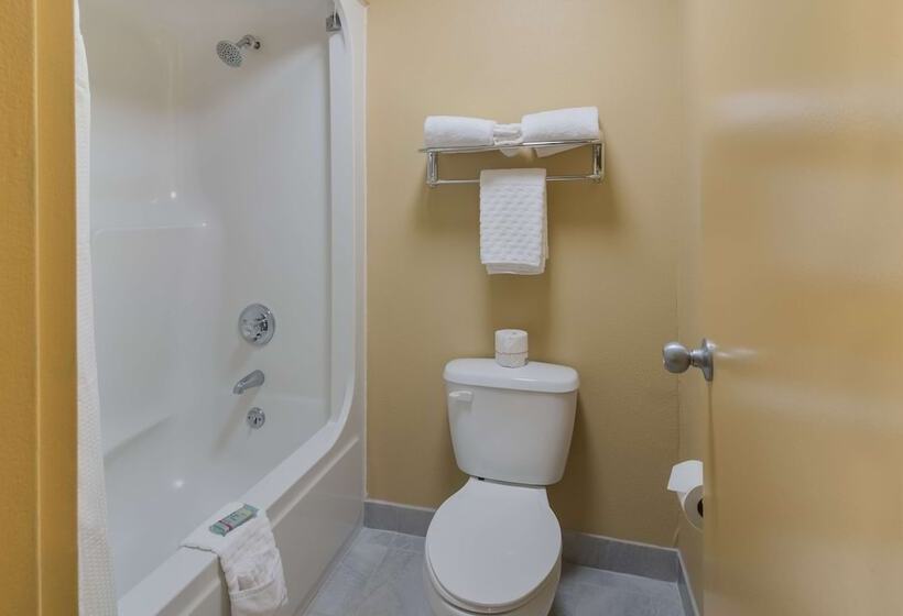 בית מלון כפרי Best Western University Inn