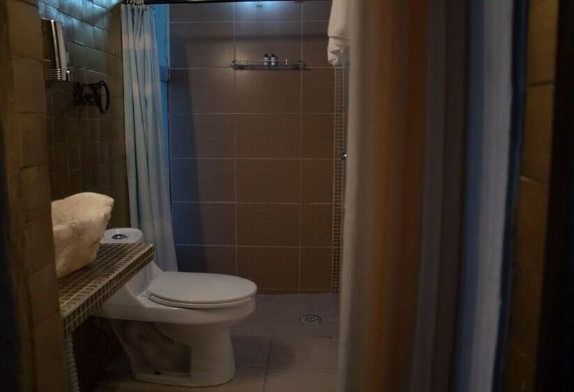 酒店 Boutique Don Porfirio