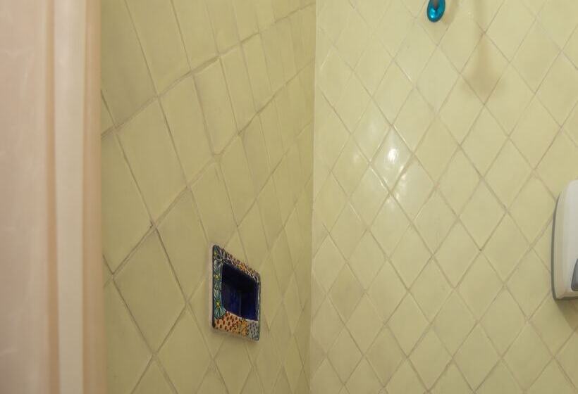 酒店 Boutique Don Porfirio