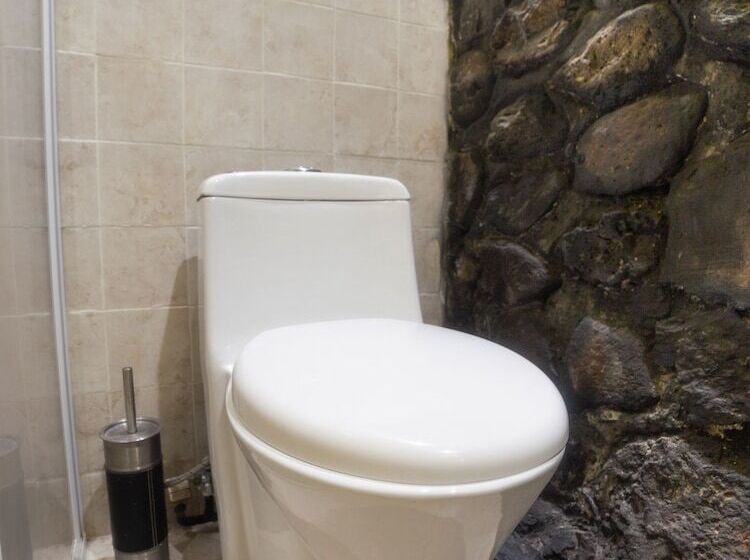 酒店 Boutique Don Porfirio