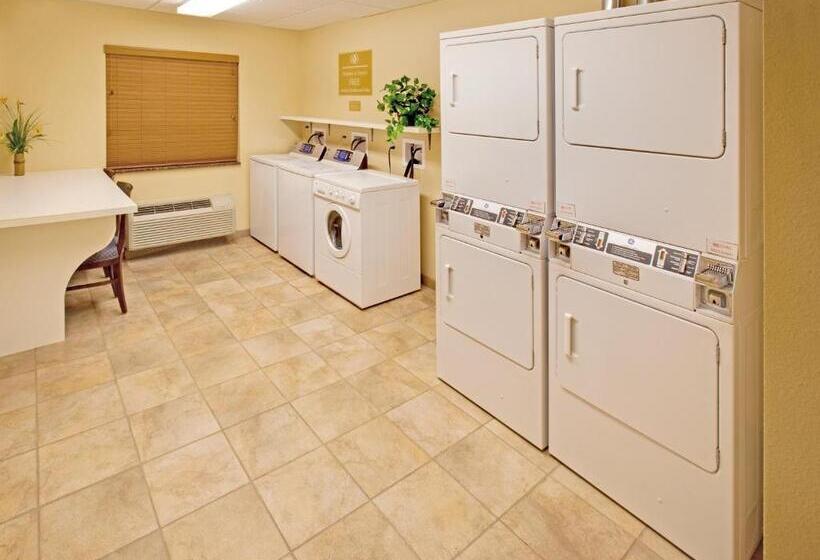 ホテル Candlewood Suites Bellevue By Ihg