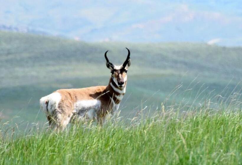 فندق Candlewood Suites Craig Northwest, An Ihg