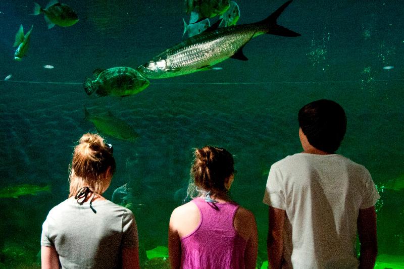 בית מלון כפרי Candlewood Suites Lake Jackson, An Ihg