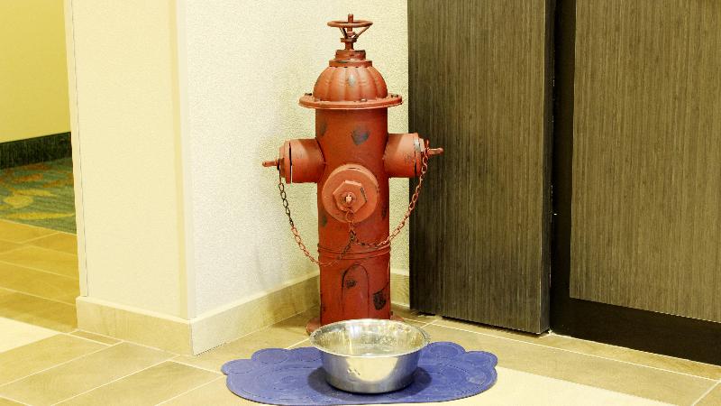 בית מלון כפרי Candlewood Suites Sioux City   Southern Hills, An Ihg