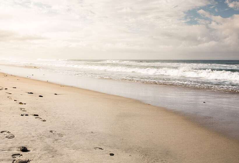 فندق Cape Rey Carlsbad Beach, A Hilton Resort & Spa