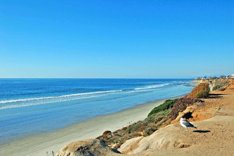 فندق Cape Rey Carlsbad Beach, A Hilton Resort & Spa