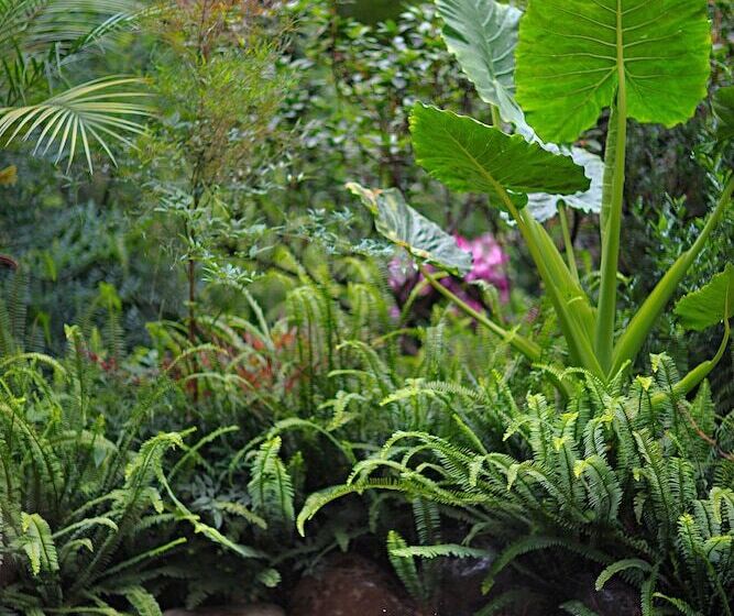 هتل Old Story Inn Dali Ancient Town