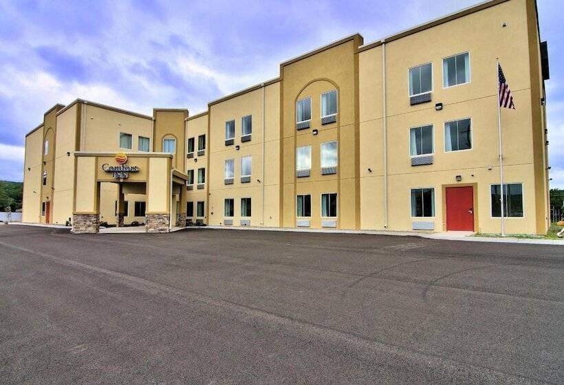 فندق Comfort Inn Apalachin   Binghamton W Route 17