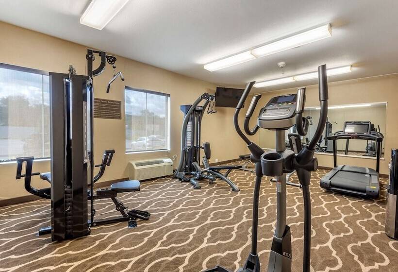 فندق Comfort Inn Apalachin   Binghamton W Route 17