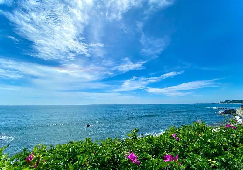 Отель Comfort Inn At Newport Beach Middletown