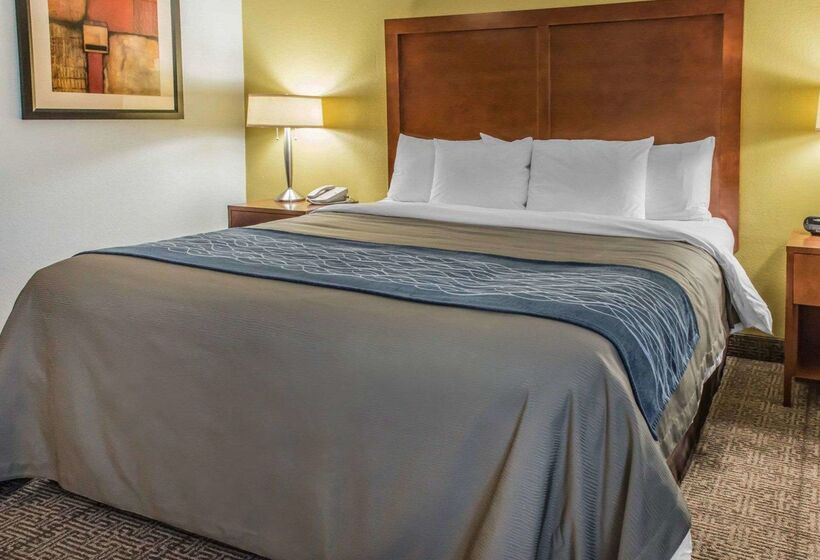 فندق Comfort Inn