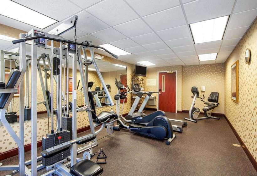 فندق Comfort Inn