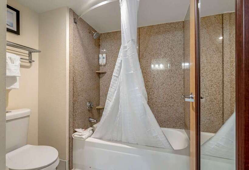 호텔 Comfort Inn Kissimmee-Lake Buena Vista South