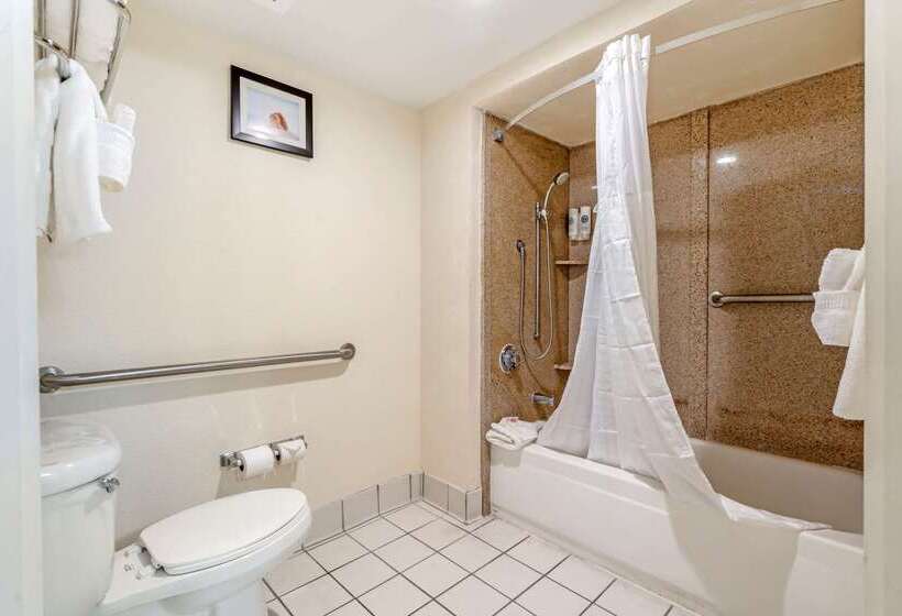 호텔 Comfort Inn Kissimmee-Lake Buena Vista South