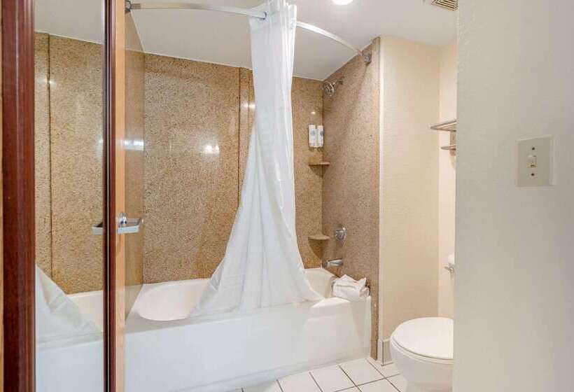 호텔 Comfort Inn Kissimmee-Lake Buena Vista South