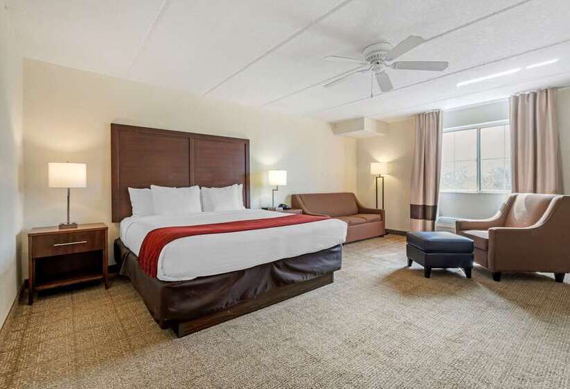 호텔 Comfort Inn Kissimmee-Lake Buena Vista South