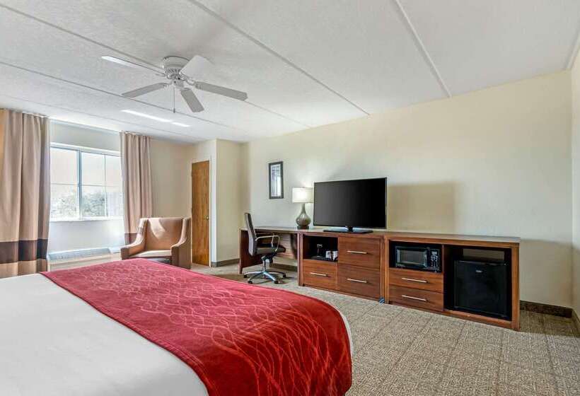 호텔 Comfort Inn Kissimmee-Lake Buena Vista South