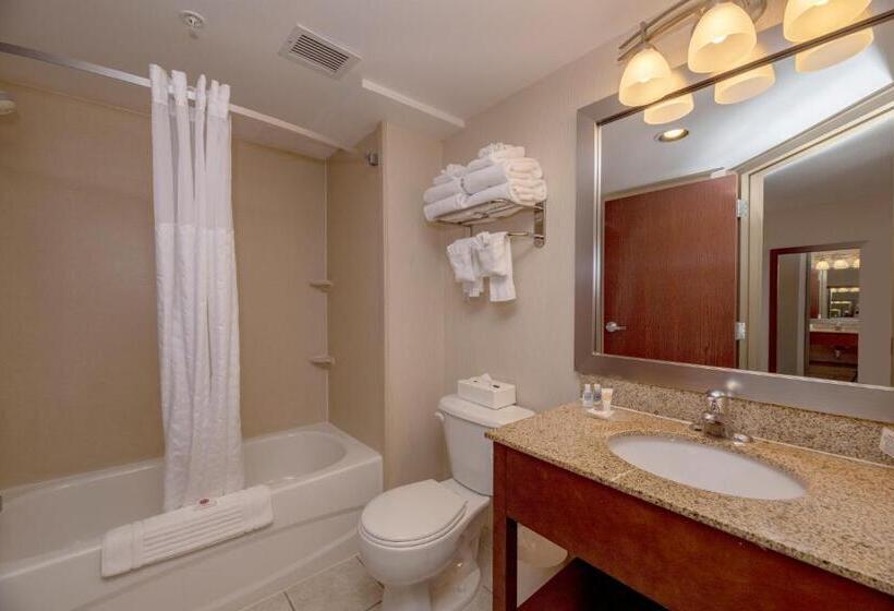 酒店 Comfort Inn Near Quantico Main Gate North