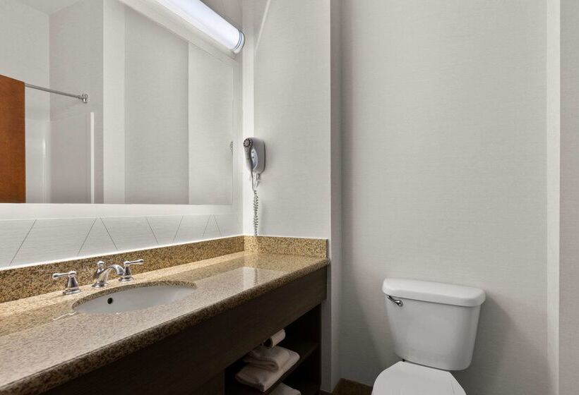 בית מלון כפרי Comfort Inn Powell   Knoxville North