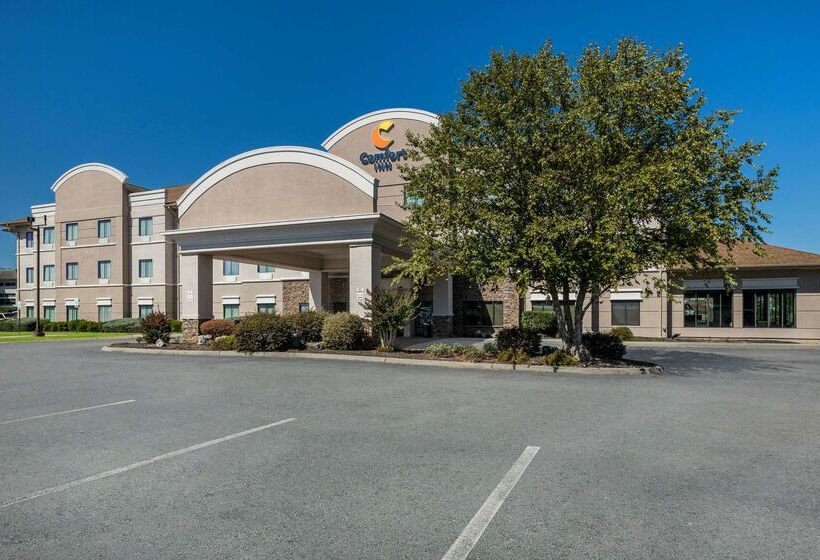 בית מלון כפרי Comfort Inn Powell   Knoxville North