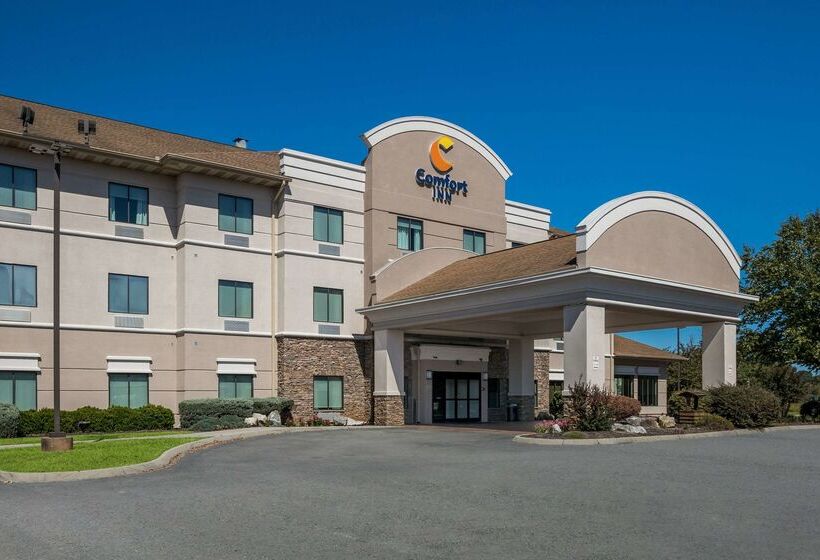 בית מלון כפרי Comfort Inn Powell   Knoxville North