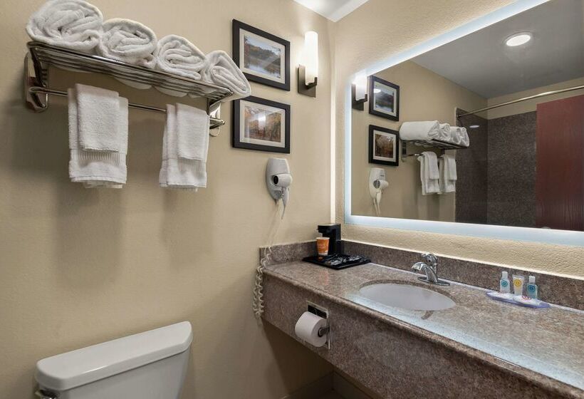 בית מלון כפרי Comfort Inn & Suites Atoka