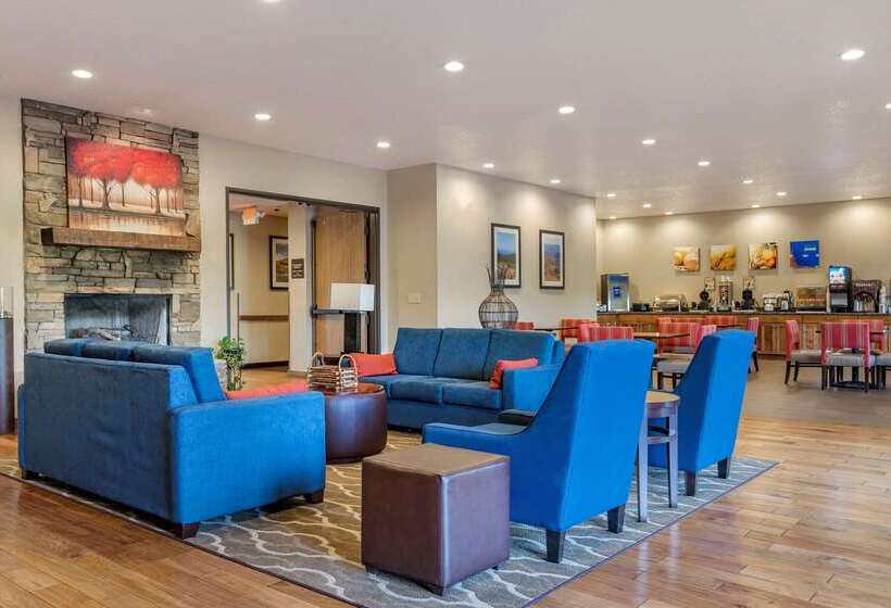 酒店 Comfort Inn & Suites