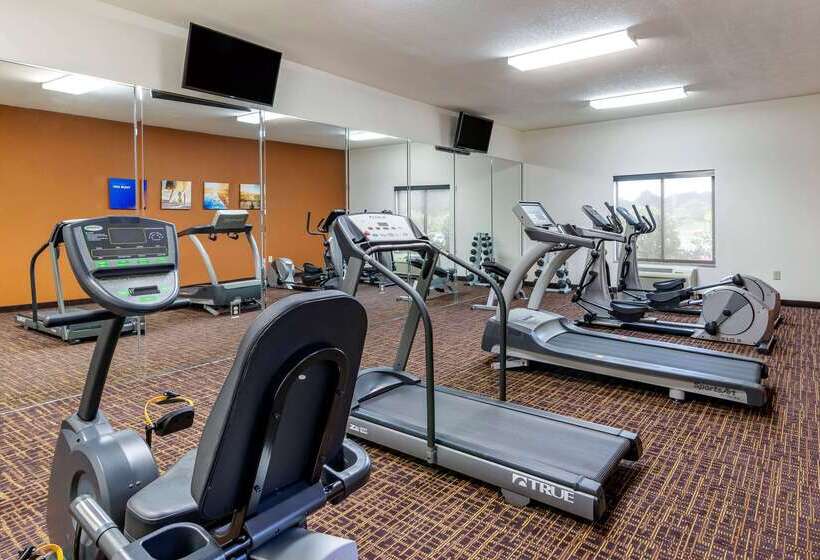 酒店 Comfort Inn & Suites