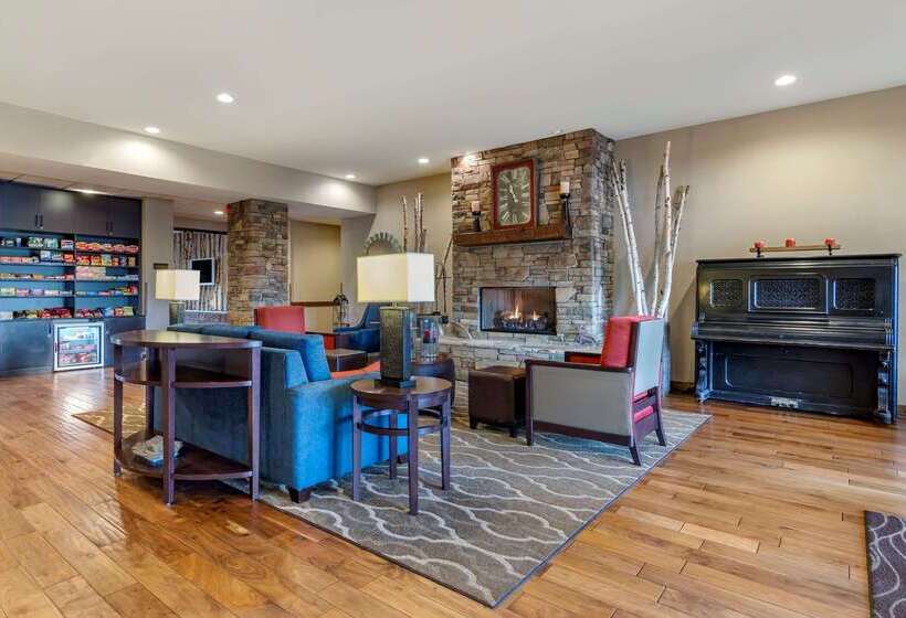 酒店 Comfort Inn & Suites