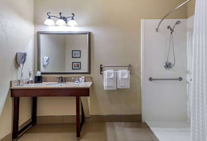 酒店 Comfort Inn & Suites