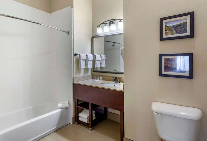 酒店 Comfort Inn & Suites