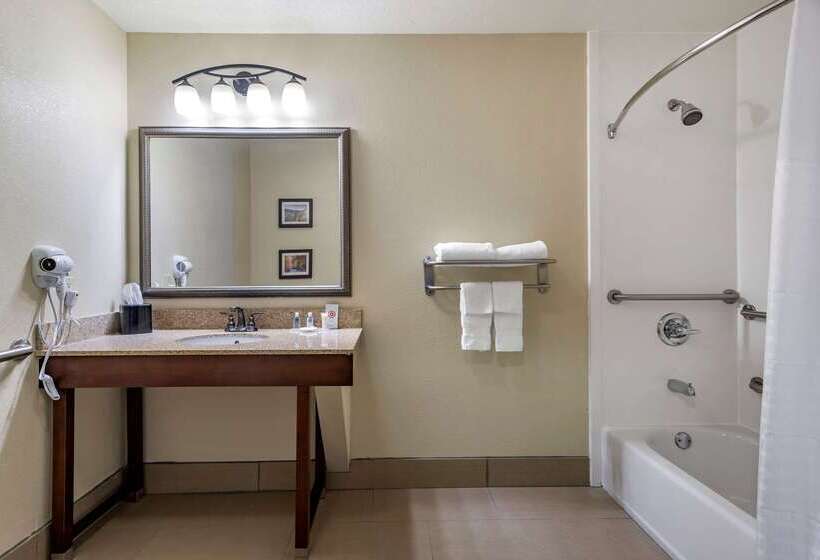 酒店 Comfort Inn & Suites