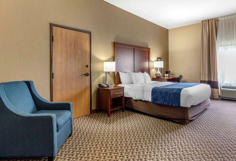 酒店 Comfort Inn & Suites